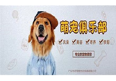 http://www.petplusmehk.com/index.html